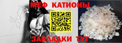 прущие грибы Бийск