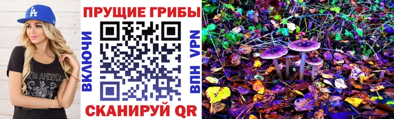 Галлюциногенные грибы ЛСД  Новотроицк 