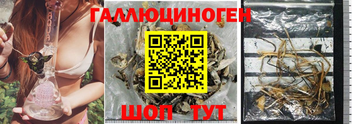 Новотроицк  Галлюциногенные грибы Psilocybe  Вход с VPN 